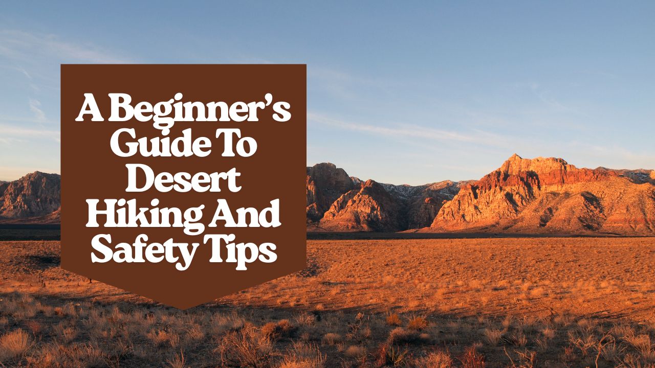 A Beginner’s Guide To Desert Hiking And Safety Tips